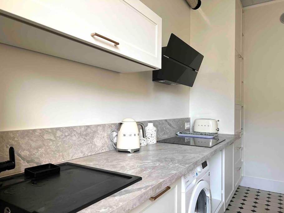Appartement Entierement Renove Proche Gare Grenoble Ngoại thất bức ảnh